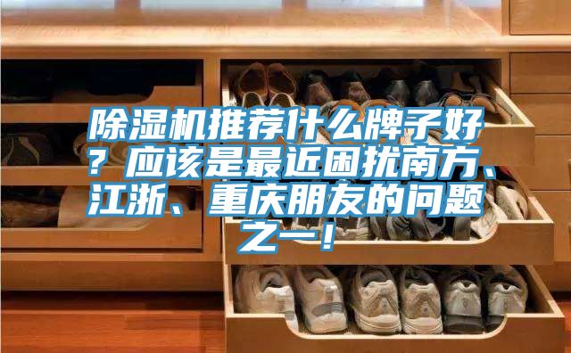 除濕機推薦什么牌子好？應該是最近困擾南方、江浙、重慶朋友的問題之一！
