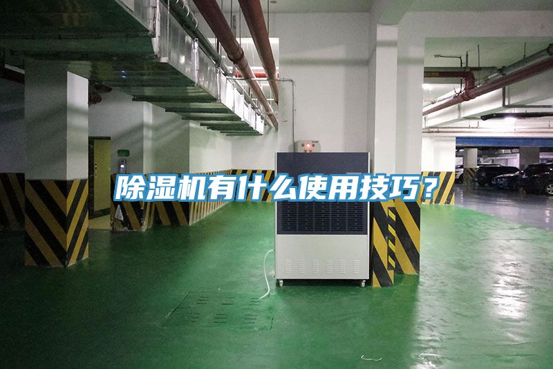 除濕機(jī)有什么使用技巧？