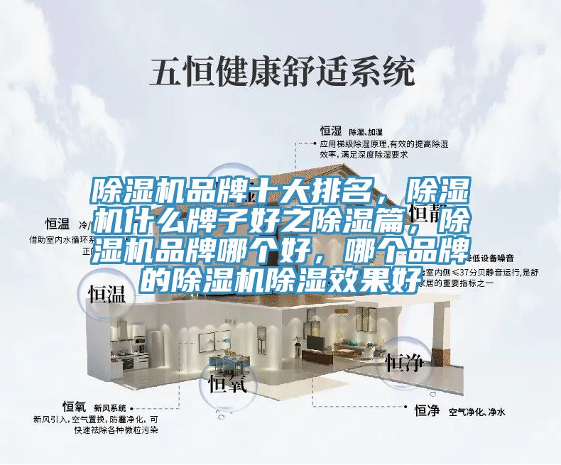 除濕機(jī)品牌十大排名，除濕機(jī)什么牌子好之除濕篇，除濕機(jī)品牌哪個(gè)好，哪個(gè)品牌的除濕機(jī)除濕效果好