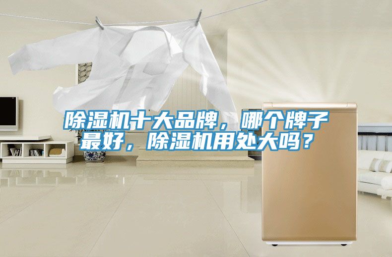 除濕機十大品牌，哪個牌子最好，除濕機用處大嗎？