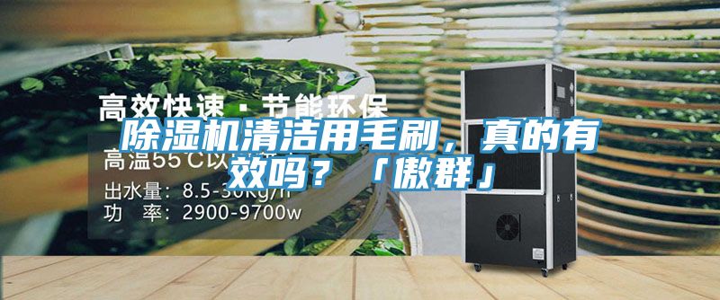 除濕機(jī)清潔用毛刷，真的有效嗎？「傲群」