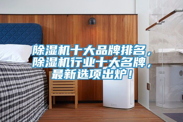 除濕機十大品牌排名，除濕機行業(yè)十大名牌，最新選項出爐！