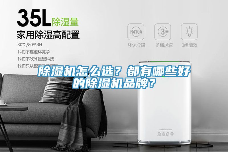 除濕機(jī)怎么選？都有哪些好的除濕機(jī)品牌？