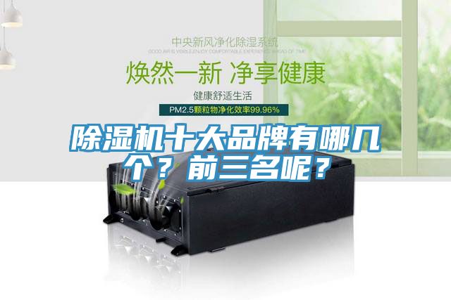 除濕機十大品牌有哪幾個？前三名呢？