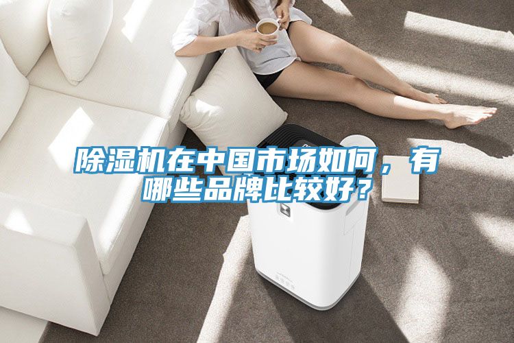 除濕機(jī)在中國市場如何，有哪些品牌比較好？