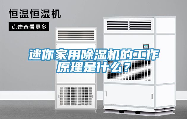 迷你家用除濕機的工作原理是什么？