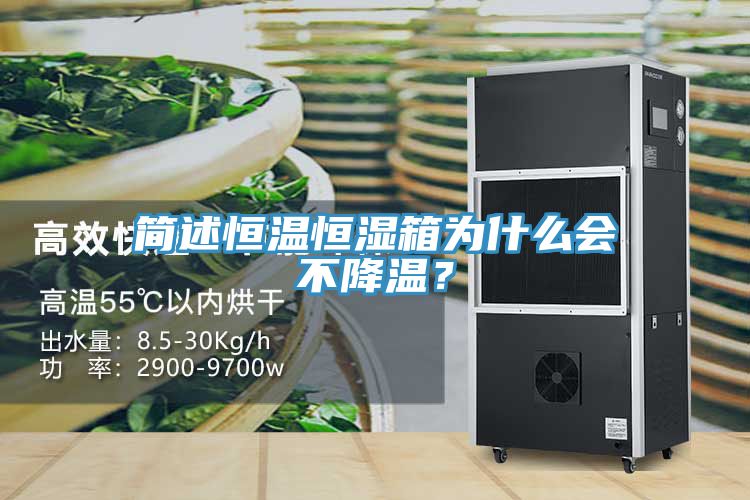 簡述恒溫恒濕箱為什么會不降溫？