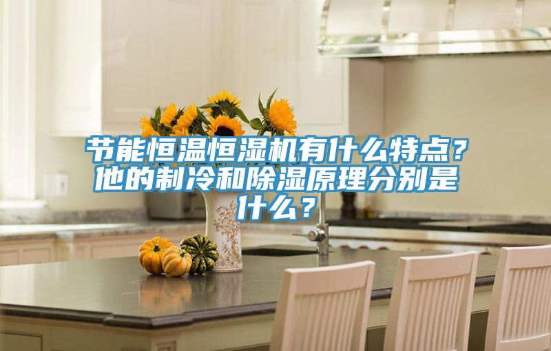 節(jié)能恒溫恒濕機有什么特點？他的制冷和除濕原理分別是什么？