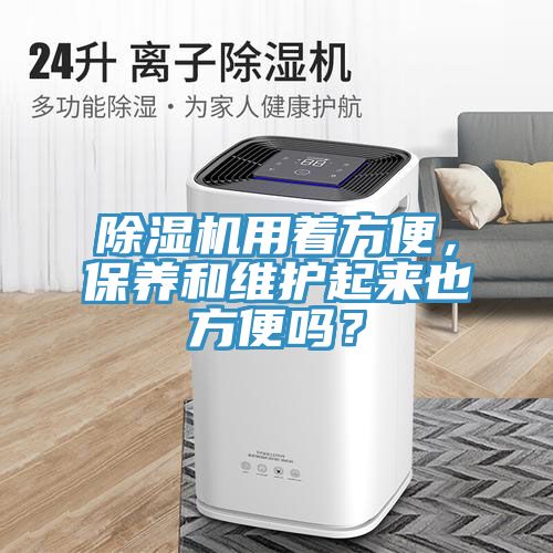 除濕機(jī)用著方便，保養(yǎng)和維護(hù)起來(lái)也方便嗎？