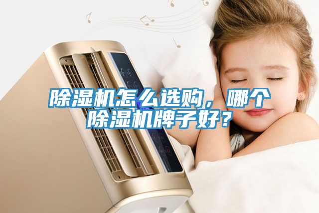除濕機怎么選購，哪個除濕機牌子好？