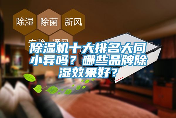 除濕機十大排名大同小異嗎？哪些品牌除濕效果好？