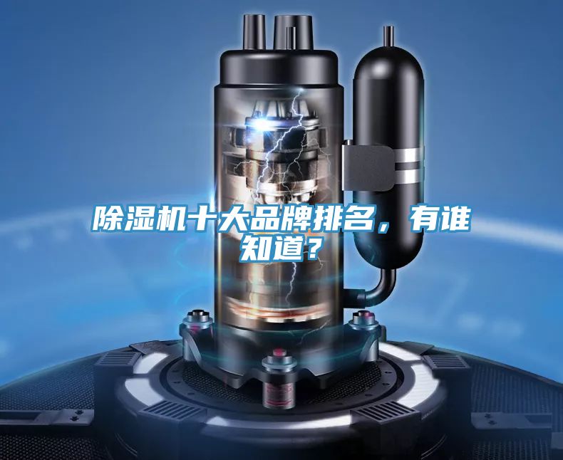 除濕機十大品牌排名，有誰知道？