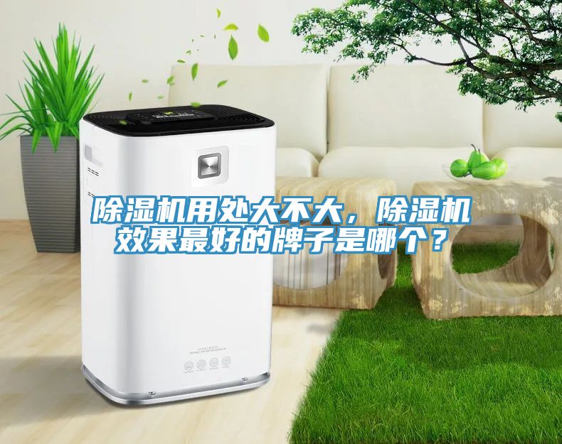 除濕機(jī)用處大不大，除濕機(jī)效果最好的牌子是哪個？
