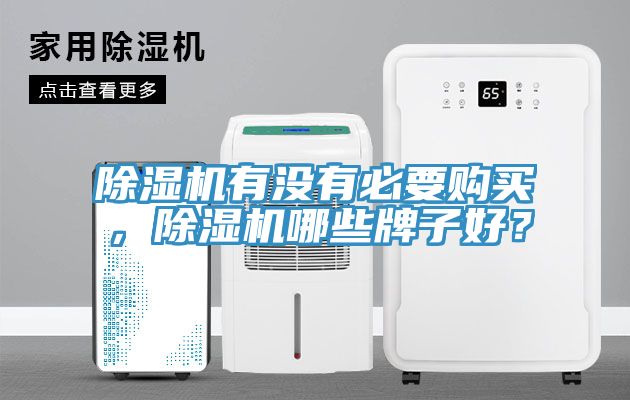 除濕機有沒有必要購買，除濕機哪些牌子好？