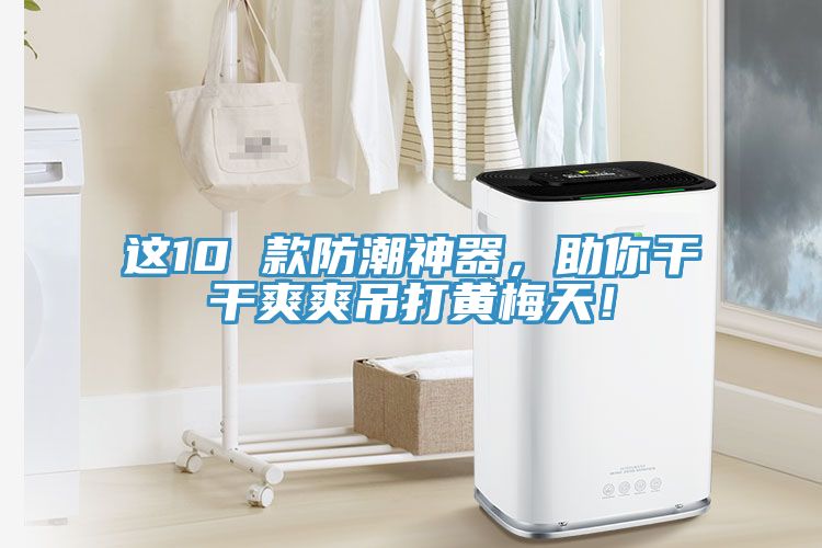 這10 款防潮神器，助你干干爽爽吊打黃梅天！
