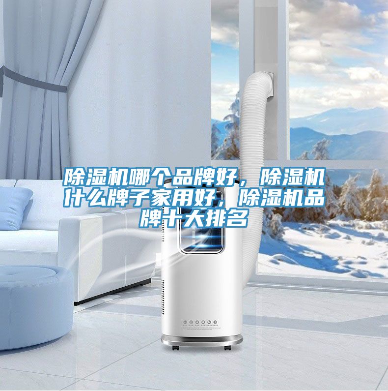 除濕機哪個品牌好，除濕機什么牌子家用好，除濕機品牌十大排名