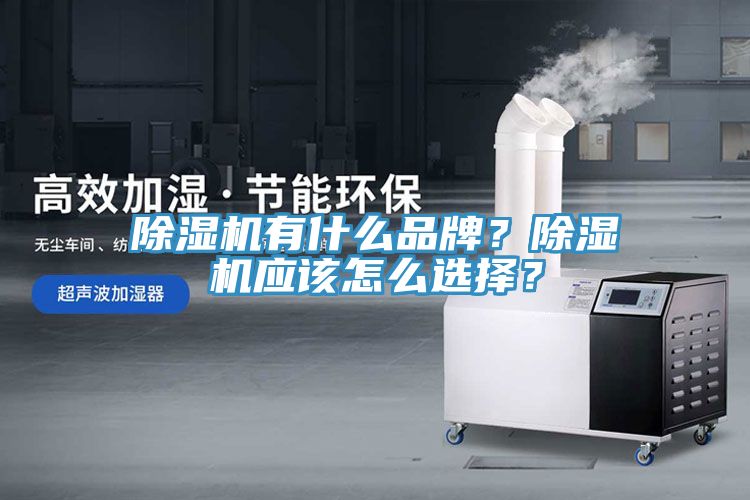 除濕機(jī)有什么品牌？除濕機(jī)應(yīng)該怎么選擇？