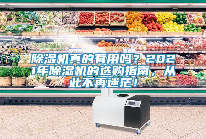 除濕機真的有用嗎？2021年除濕機的選購指南，從此不再迷茫！