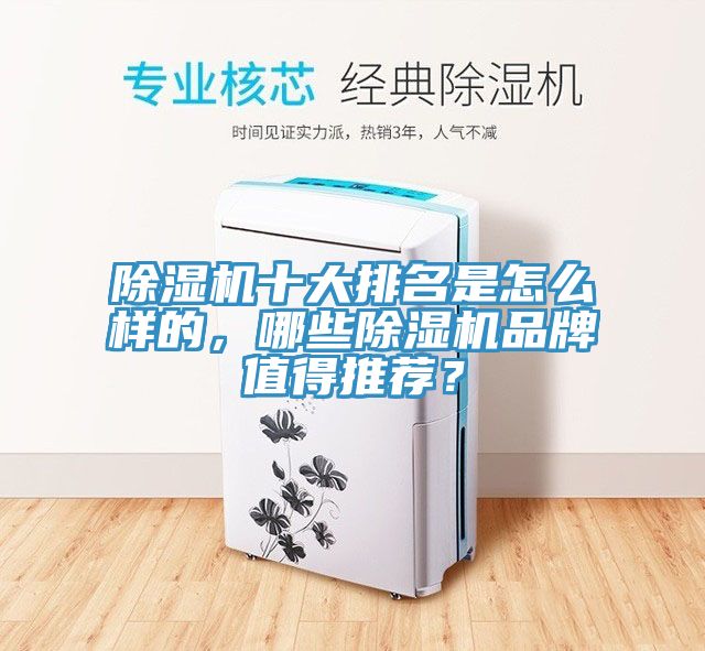 除濕機十大排名是怎么樣的，哪些除濕機品牌值得推薦？