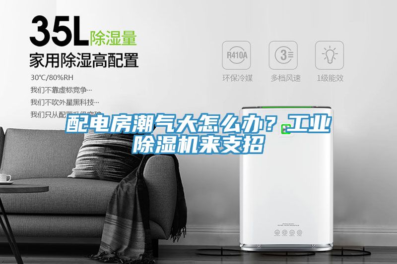配電房潮氣大怎么辦？工業(yè)除濕機(jī)來支招