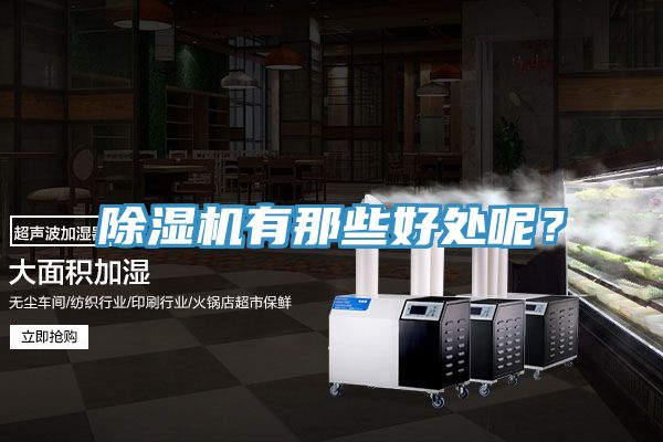 除濕機(jī)有那些好處呢？