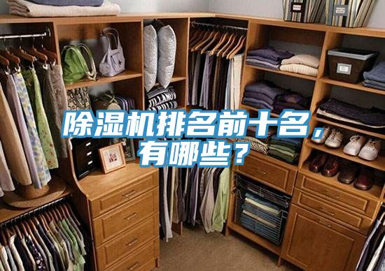 除濕機(jī)排名前十名，有哪些？