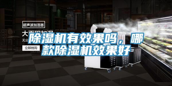 除濕機有效果嗎，哪款除濕機效果好