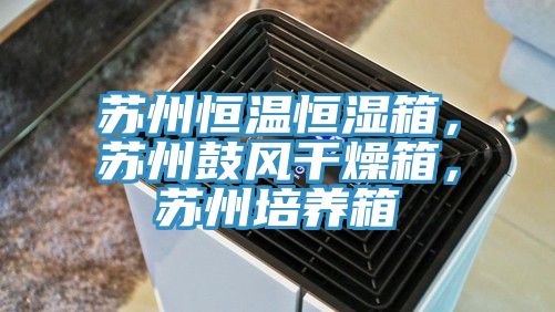 蘇州恒溫恒濕箱，蘇州鼓風(fēng)干燥箱，蘇州培養(yǎng)箱