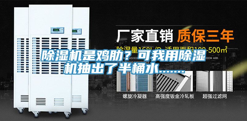 除濕機是雞肋？可我用除濕機抽出了半桶水.......