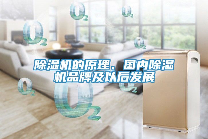 除濕機(jī)的原理、國(guó)內(nèi)除濕機(jī)品牌及以后發(fā)展