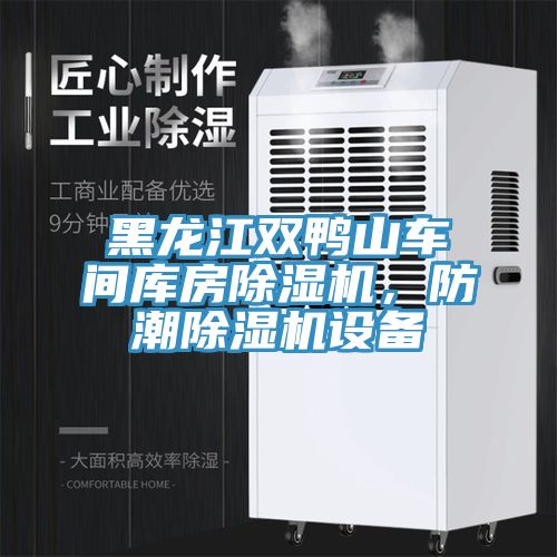 黑龍江雙鴨山車間庫(kù)房除濕機(jī)，防潮除濕機(jī)設(shè)備