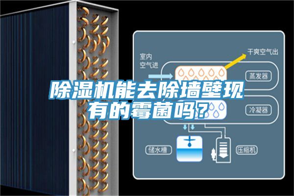 除濕機(jī)能去除墻壁現(xiàn)有的霉菌嗎？