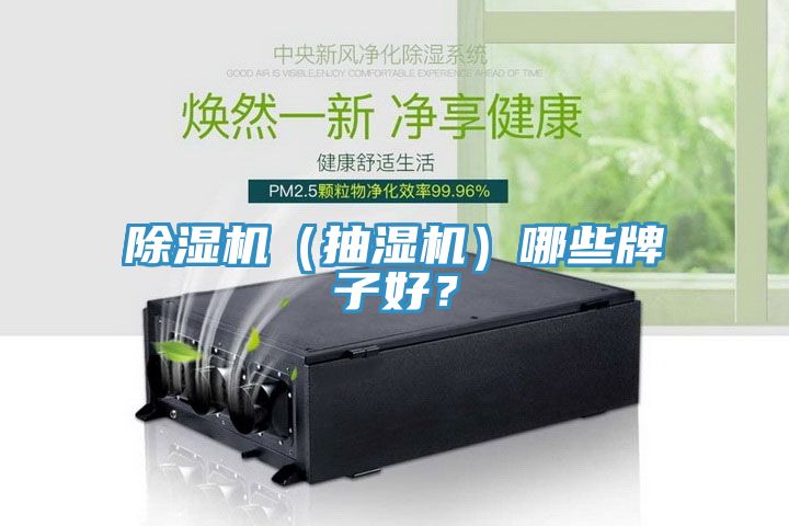 除濕機（抽濕機）哪些牌子好？