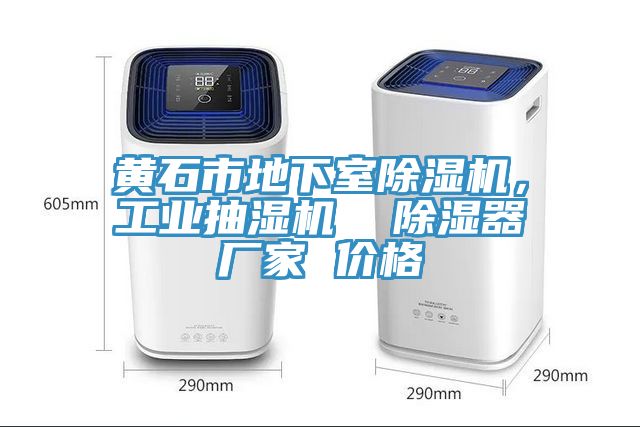 黃石市地下室除濕機(jī)，工業(yè)抽濕機(jī)  除濕器廠家 價(jià)格