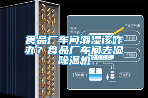 食品廠車間潮濕該咋辦？食品廠車間去濕除濕機