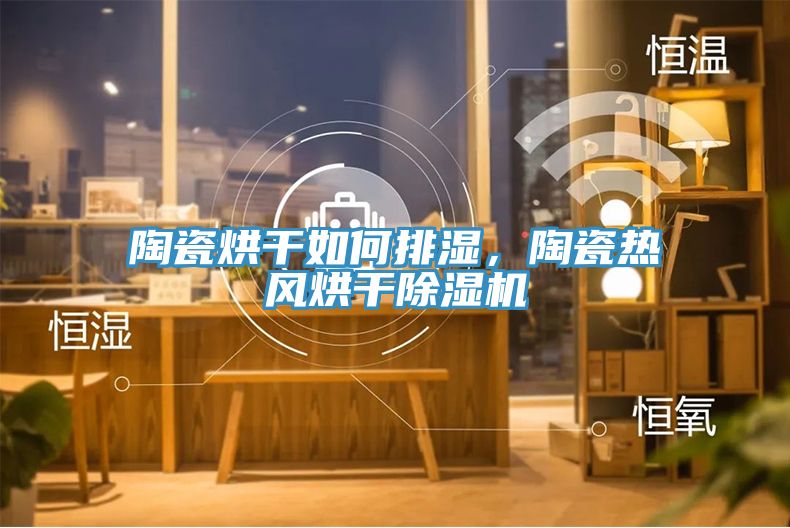 陶瓷烘干如何排濕，陶瓷熱風(fēng)烘干除濕機(jī)
