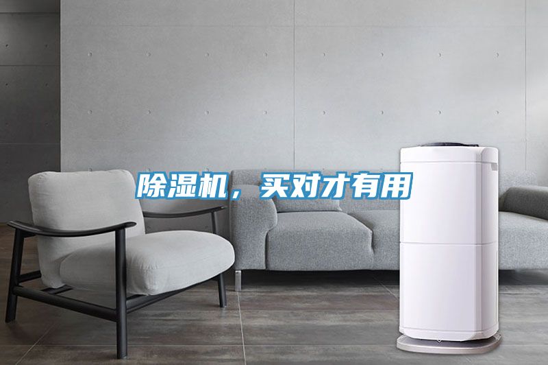 除濕機，買對才有用