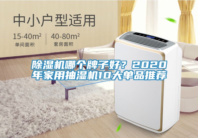 除濕機哪個牌子好？2020年家用抽濕機10大單品推薦