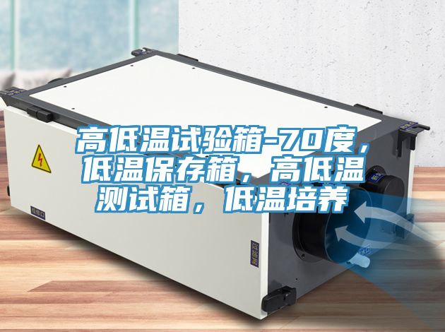 高低溫試驗箱-70度，低溫保存箱，高低溫測試箱，低溫培養(yǎng)