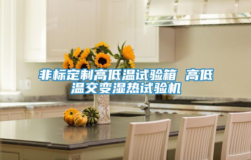 非標(biāo)定制高低溫試驗箱 高低溫交變濕熱試驗機(jī)
