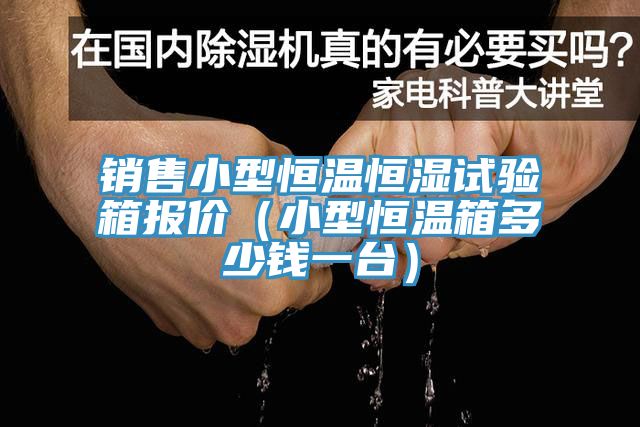 銷售小型恒溫恒濕試驗(yàn)箱報價（小型恒溫箱多少錢一臺）