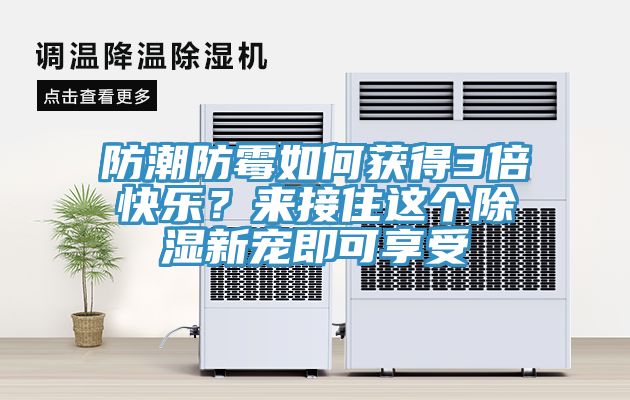 防潮防霉如何獲得3倍快樂？來接住這個除濕新寵即可享受