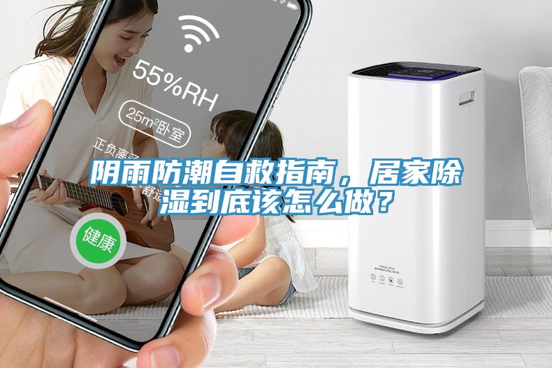 陰雨防潮自救指南，居家除濕到底該怎么做？