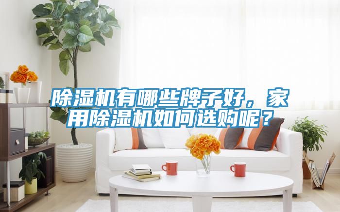 除濕機(jī)有哪些牌子好，家用除濕機(jī)如何選購(gòu)呢？