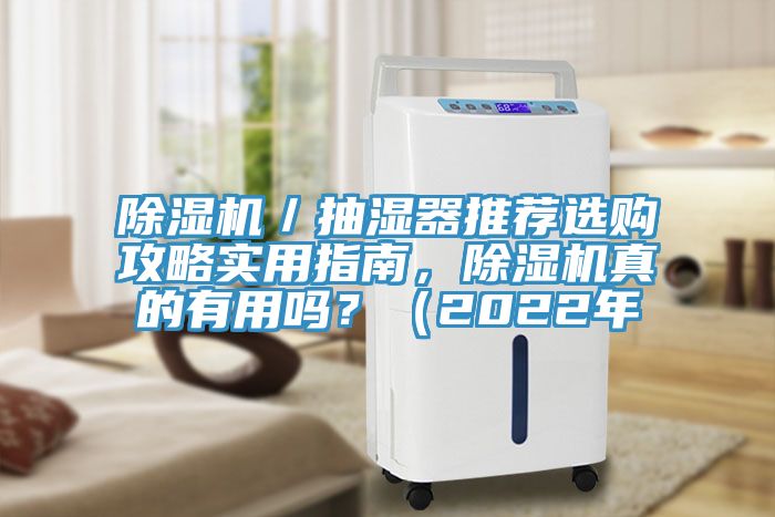 除濕機(jī)／抽濕器推薦選購攻略實用指南，除濕機(jī)真的有用嗎？（2022年