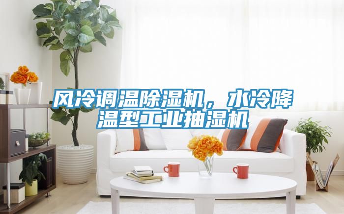 風(fēng)冷調(diào)溫除濕機(jī)，水冷降溫型工業(yè)抽濕機(jī)