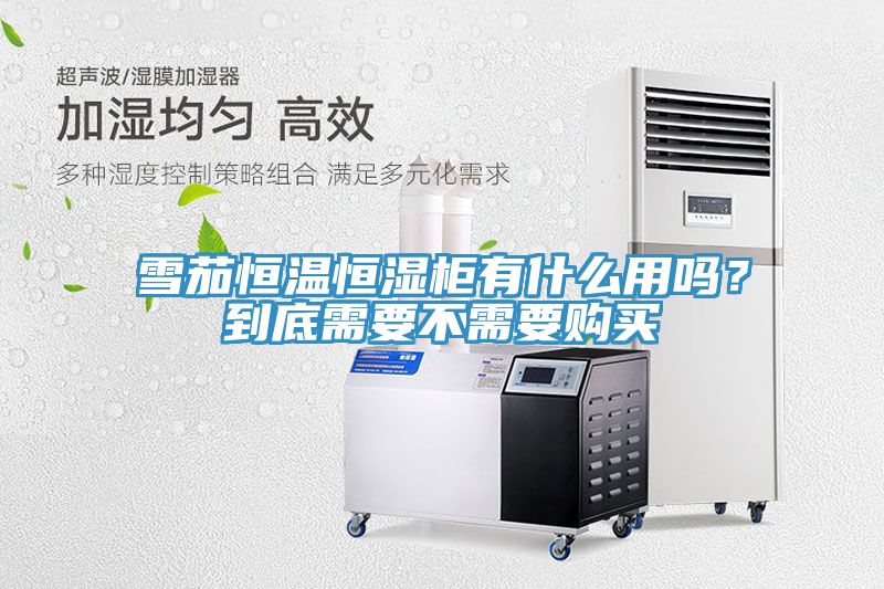 雪茄恒溫恒濕柜有什么用嗎？到底需要不需要購買