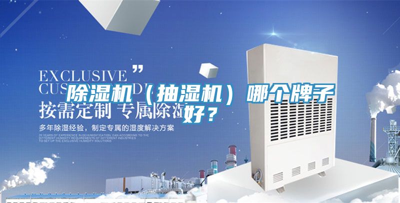 除濕機(jī)（抽濕機(jī)）哪個(gè)牌子好？