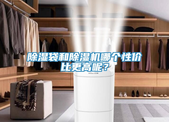 除濕袋和除濕機哪個性價比更高呢？