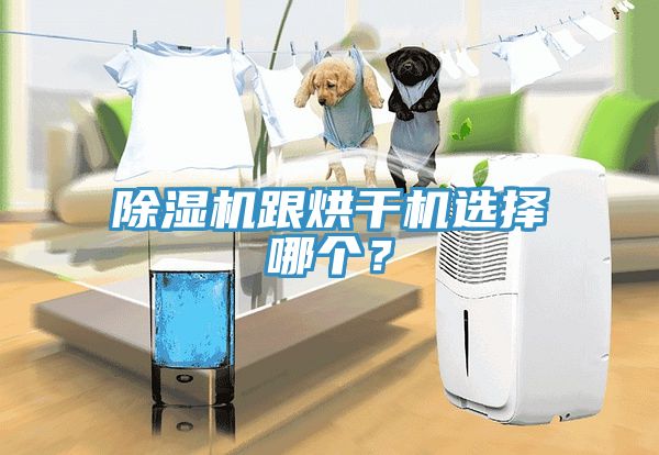 除濕機(jī)跟烘干機(jī)選擇哪個(gè)？